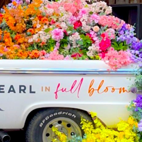 Meet your Posher, Zoe - Picture 1 of 1